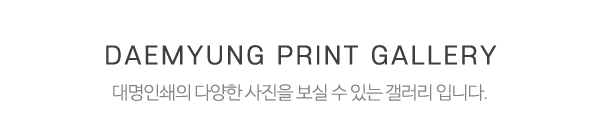 대명인쇄_중간제목
